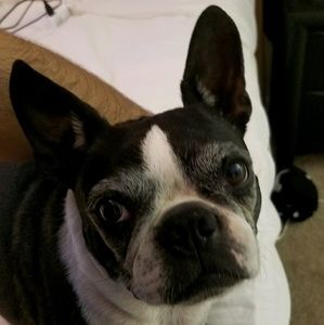 Meet your Posher, Felipe